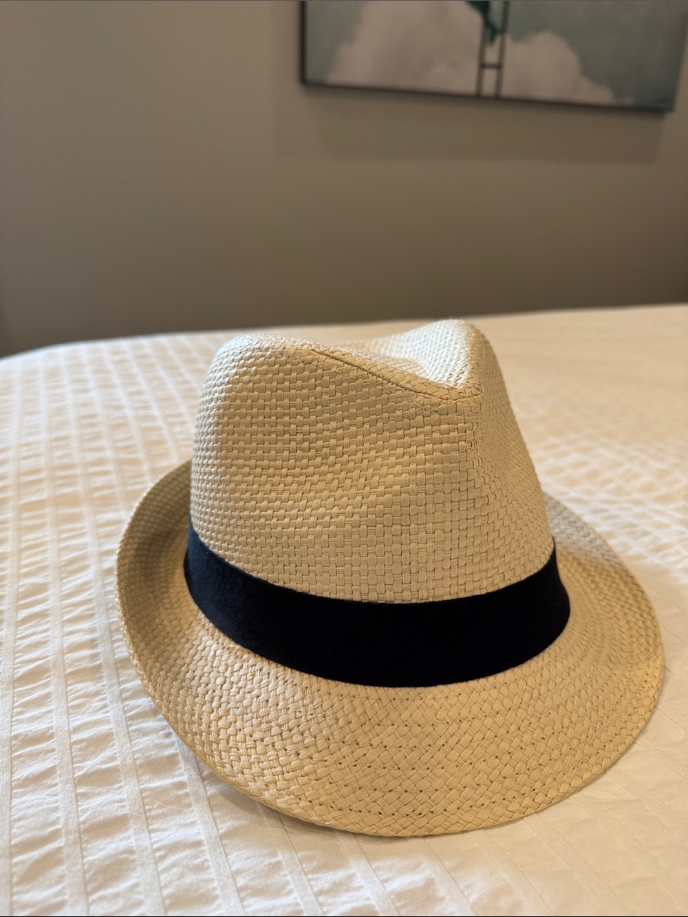 Natural Straw Fedora Hat with Black Band